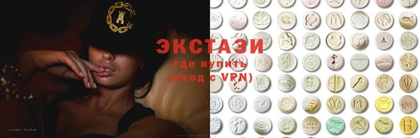 индика Бугульма
