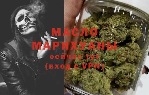 индика Бугульма