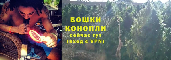 индика Бугульма
